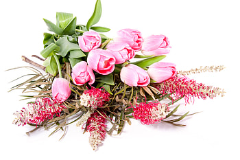 Bouquet, tulip, graphy, elegantly, beautiful, tulips, nice, pink, pretty, flower, cool, flowers, , lovely, harmony HD wallpaper