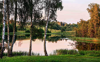 Lake in Latvia, autumn, birches, calm, lake, Latvia HD wallpaper