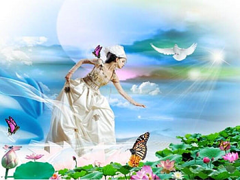 I loved nature, butterflies, flowers, sky, nature, woman HD wallpaper