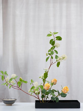 Ikebana , Christopher Sellers post, Nature's delicate charm, Artistic inspiration HD phone wallpaper