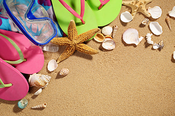 Summer Vacation, starfish, summer, accessories, shells, sand, beach HD wallpaper
