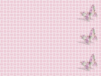 Pale Rose 2, background, delicate, butterfly, pale, texture HD wallpaper