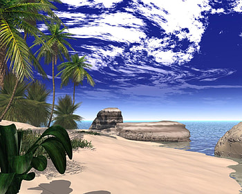 Beach, sea, sand, palm, cloud HD wallpaper