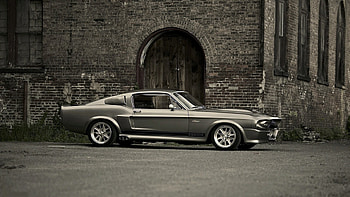 Ford-Shelby-Mustang-69, Shelby, 69, Mustang, Ford HD wallpaper