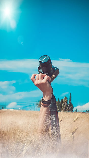 A hand raises a camera amidst a sunny field, evoking creativity and leisure. HD phone wallpaper
