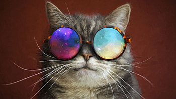 Whiskers, Galaxy Cat HD wallpaper