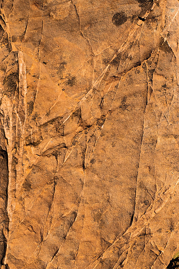 Rock, Texture, Textures, Relief, Stone HD phone wallpaper