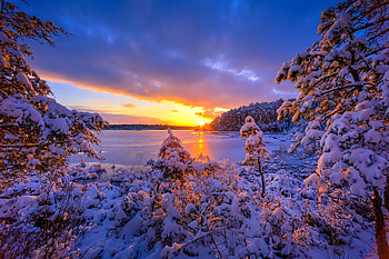 Evenfall, sky, sunset, sunrise, ice, lake, winter, frozen, beautiful, snow, branches, view, trees HD wallpaper