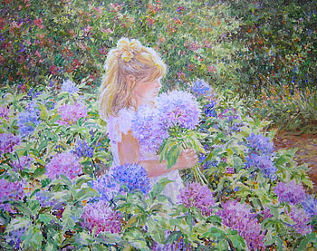The Sweet Hydrangea, hydrangeas, pretty, purples, pinks, soft, flowers, girl HD wallpaper