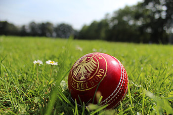 Deutscher Cricket Bund ball, Cricket HD wallpaper