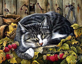 Irina Garmasheva. Tired cat in raspberry patch., animal, kitten, painting, art, cat, irina garmasheva HD wallpaper