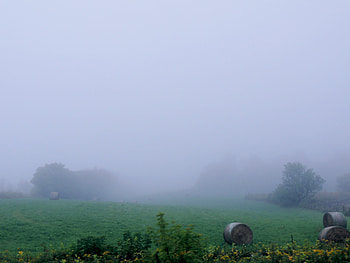 Field Of Fog, Fog, graphy, Grass, Field, Nature, Hay HD wallpaper