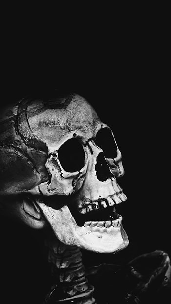 Skull s For Mobile HD phone wallpaper