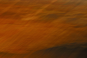 Abstract, Background, Blur, Smooth, Brown HD wallpaper