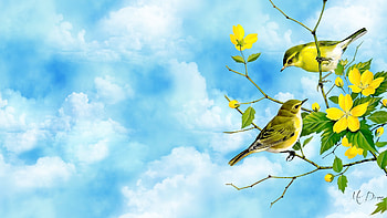 Spring Birds 1, sky, flowers, fresh, spring, tree, birds, buds, Firefox theme, summer, blossoms, finch, goldfinch HD wallpaper