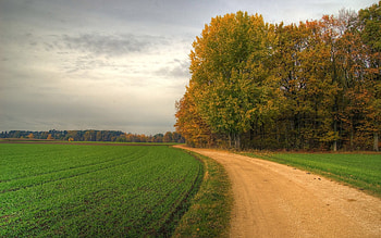 Landscape, Nature, Roads HD wallpaper