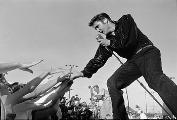 Performing, Elvis Presley HD wallpaper