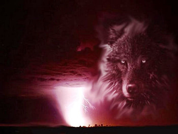 Red Werewolf, coler, werewolf, red, dogs, sky, nature, wolf HD wallpaper