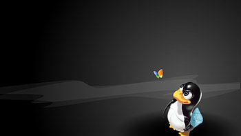 Kali Linux 1920x1080 HD wallpaper