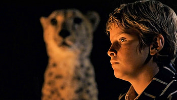 Duma, 2005 movie HD wallpaper