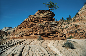 Nature, Trees, Stones, Bush, Lines, Vegetation, Stripes, Streaks, Canyons HD wallpaper