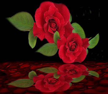 Water Reflections, reflection, life, love, flowers, waters, spring, inner beauty, beauty HD wallpaper