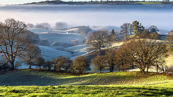 Beautiful Greenery Scenery Trees Snow Covered Mountains With Fog Grass Field Nature HD wallpaper