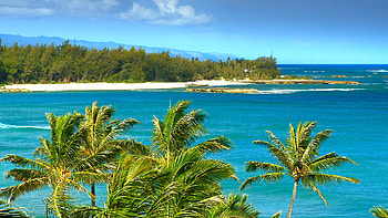 SEE The Most Beautiful Hawaii Beaches Blu-Ray Video DVD: The HD wallpaper