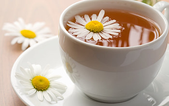 Charming tea cup, Vintage vibes, Classic elegance, Tea lover's delight HD wallpaper