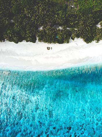 Palms, aerial view, beach, tropical sea HD phone wallpaper