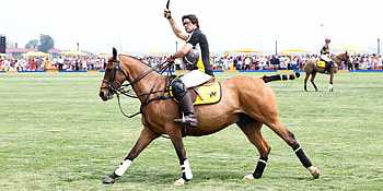 Nacho Figueras, Horse Polo HD wallpaper
