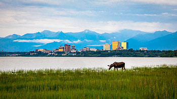 Things to do in Anchorage, Alaska experiences, Outdoor activities, Cultural immersion HD wallpaper