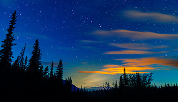 Nature, Trees, Sunset, Sky, Stars, Fir, Spruce HD wallpaper