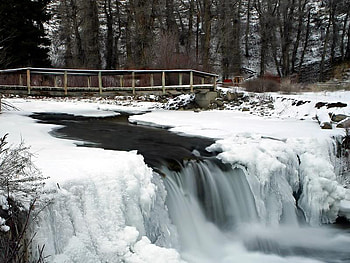 Winter Waterfall, falls, winter, snow, tree HD wallpaper
