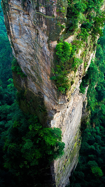 Zhangjiajie Travels, Zhangjiajie , Forest park, Petrfied Forest HD phone wallpaper