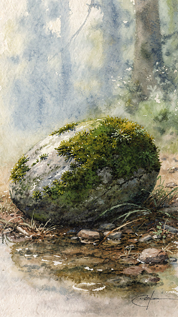 Mossbound | Verdant Pebble | Quiet Mossstone | Forest Pocket (), Rock HD phone wallpaper
