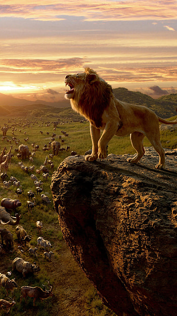 The Lion King (2022) movie HD phone wallpaper