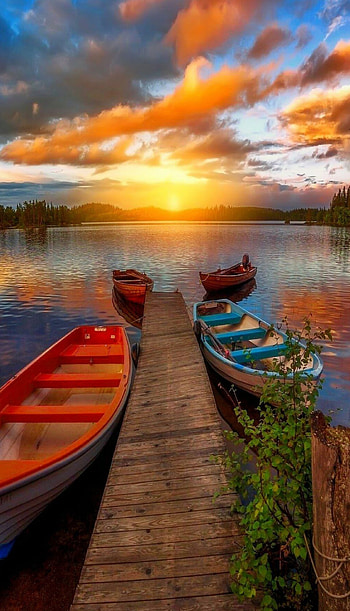 Nature's beauty, , Sunrise , Stunning backgrounds HD phone wallpaper