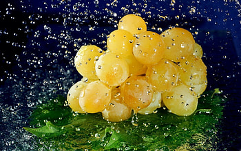 CRYSTAL RAIN, leaves, raindrops, grapes, fruit, forces of nature HD wallpaper