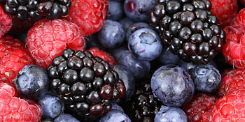 Berries HD wallpaper