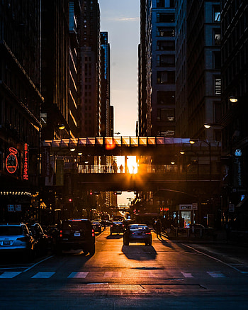 Street, Transport, Cities, Sunset, City, Movement, Traffic HD phone wallpaper