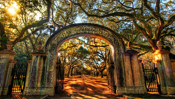 Savannah, Georgia, , Ultra HD wallpaper
