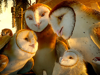 Legend of the Guardians: The Owls of Ga'Hoole, Heartwarming fanart, Breathtaking movie, Majestic owls HD wallpaper