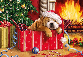 Christmas Snooze, presents, christmas, decorations, Dog, fire, tree HD wallpaper