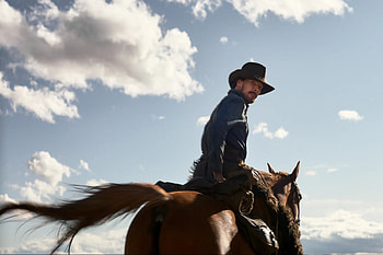 Power of the Dog, Modern western, Vanity Fair, Movie HD wallpaper