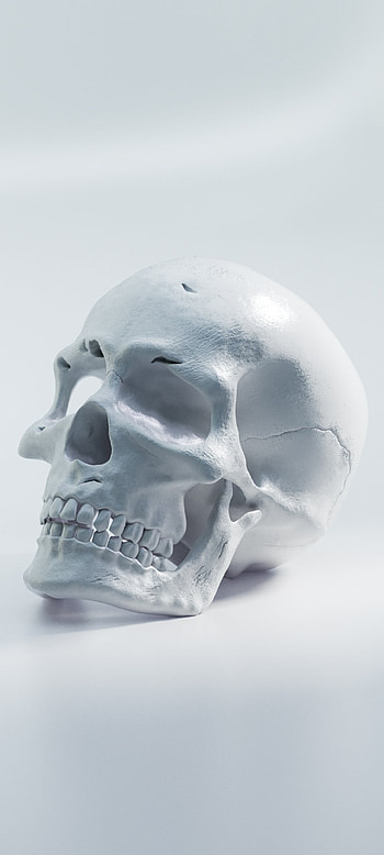 dark, skull HD phone wallpaper