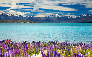New Zealand , Lake Tekapo, Ultra , Scenic beauty HD wallpaper