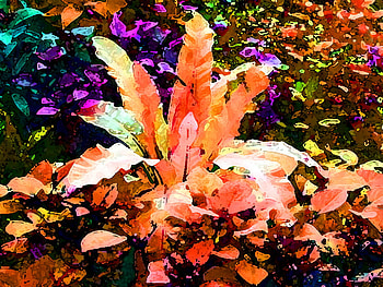 Textured Watercolor Plants, watercolor, colorful, flowers, plants HD wallpaper