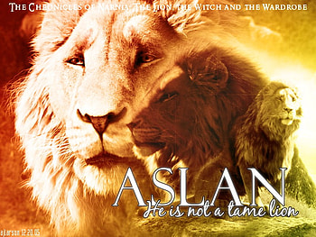 Narnia Aslan, aslan, king, narnia HD wallpaper