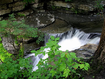 Quietly Flowing, falls, water, rock, tree HD wallpaper
